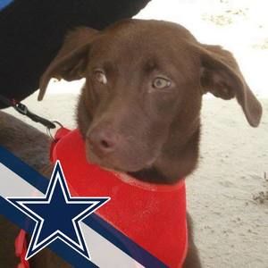 Meet your Posher, Vonda